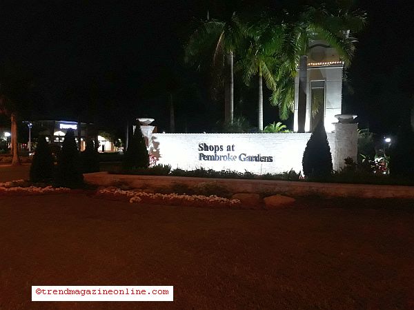 Ms. Deborah Fogarty, ECC, Be Well Travel LLC, CLIA Travel Article