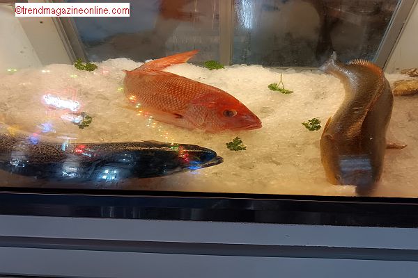 Fisherman’s Wharf Seafood Grill Galveston Texas Travel Review